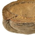 Kokosų vazonas, natūralus, 20 cm, 5 vnt. | Floristik24.lt