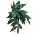 Floristik24 Dirbtinė begonija Dirbtinis augalas žalia, tamsiai žalia 42×28cm