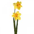 Floristik24 Dirbtiniai narcizai Silk Flowers Yellow 2 gėlės 61cm