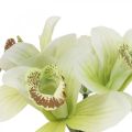 Floristik24 Dirbtinės orchidėjų dirbtinės gėlės vazoje balta/žalia 28cm