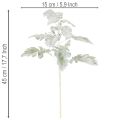 Dirbtinė Senecio šakelė (ragwort), įmantriai pagaminta, 45 cm, 3 dalys | Floristik24.lt