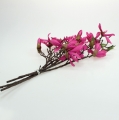 Floristik24 Magnolijos šakelė rožinė 45cm 4vnt