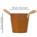 Metalinis vazonas su rankenomis, žolelių vazonas, rūdžių dekoracija Ø16,5 cm, aukštis15 cm | Floristik24.lt