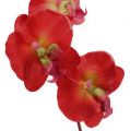 Floristik24 Deco orchidėja raudona 68cm