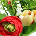 Floristik24 Ranunculus puokštė, tulpių puokštė, raudona