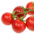 Floristik24 Vynmedžių pomidorų Ø4cm 1 kubelis